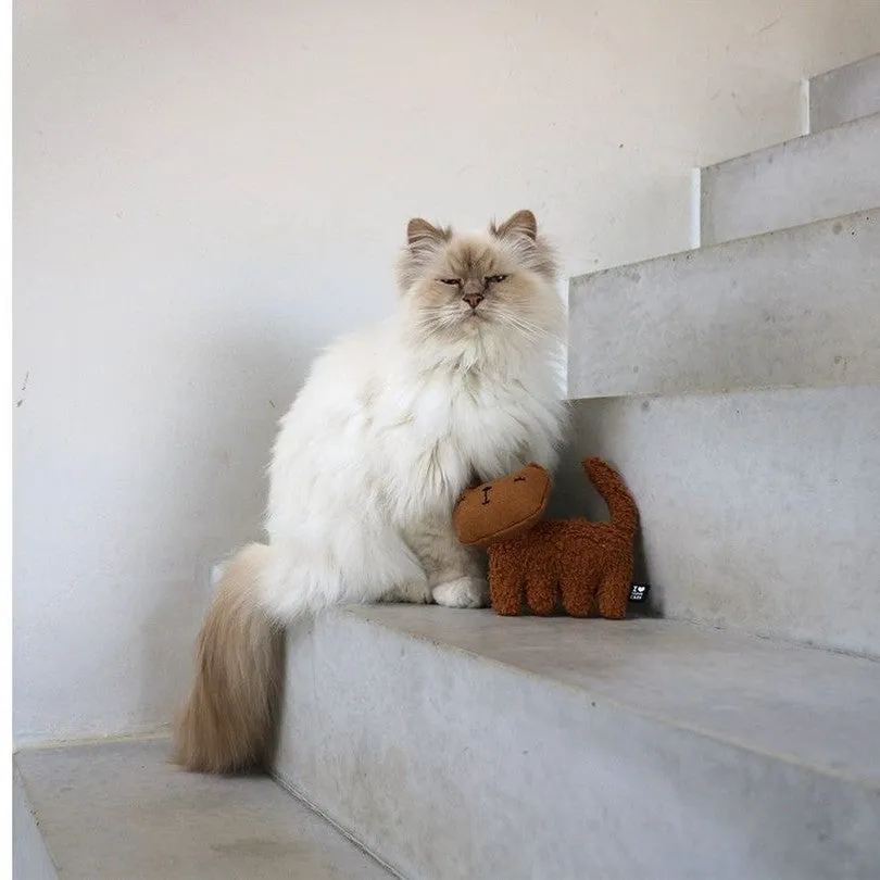 ZOEY - Refillable cat kicking cushion 15x5x12cm brown